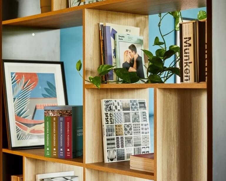 bookshelf in the office with books and plants
